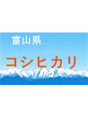 コシヒカリ(富山県)